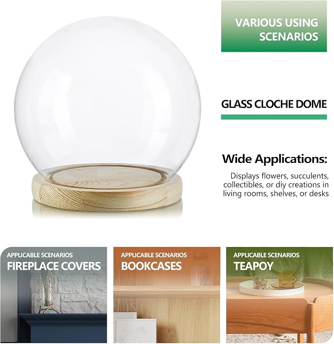 ZEERSHEE Round Globe Cloche Glass Dome with Wooden Base, 6" Glass Display Dome for Succulents, Plants & Keepsakes, Decorative Sphere Cloche Bell Jar for Collectibles & Home Decor