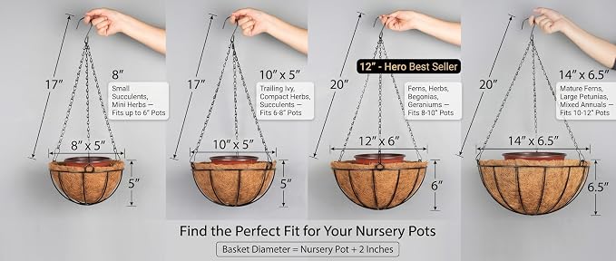 Kingbuy 8" Metal Hanging Basket for Small Succulents & Herbs – 5" Depth Rust-Resistant Wire with Coconut Liner & Chain for Kitchen Window, Balcony & Small Spaces - 2 Pack