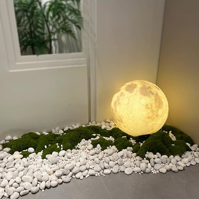 10LB White River Rocks - 2-3 inch High Polished Decorative Pebbles for Landscaping, Outdoor Decor and Plants