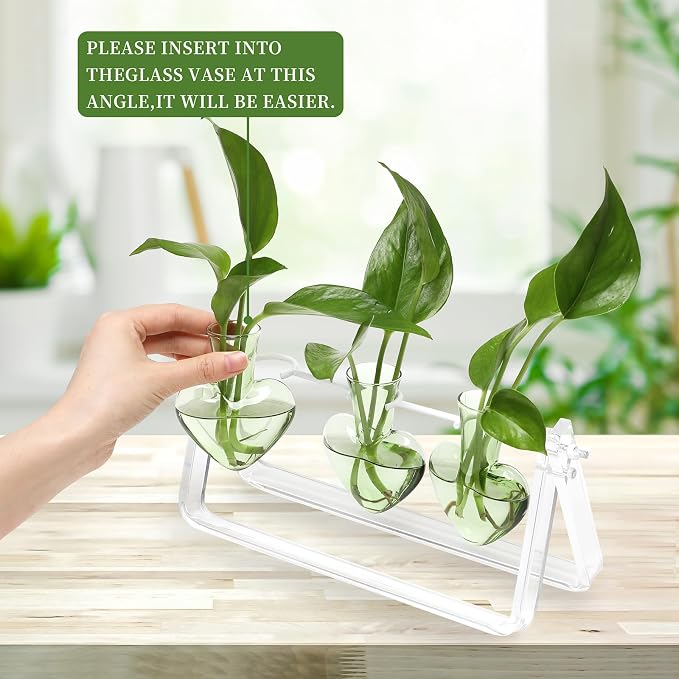 Clear Plant Terrarium Propagation Stations with Acrylic Stand | Birthday Gifts for Women Office Home Decor