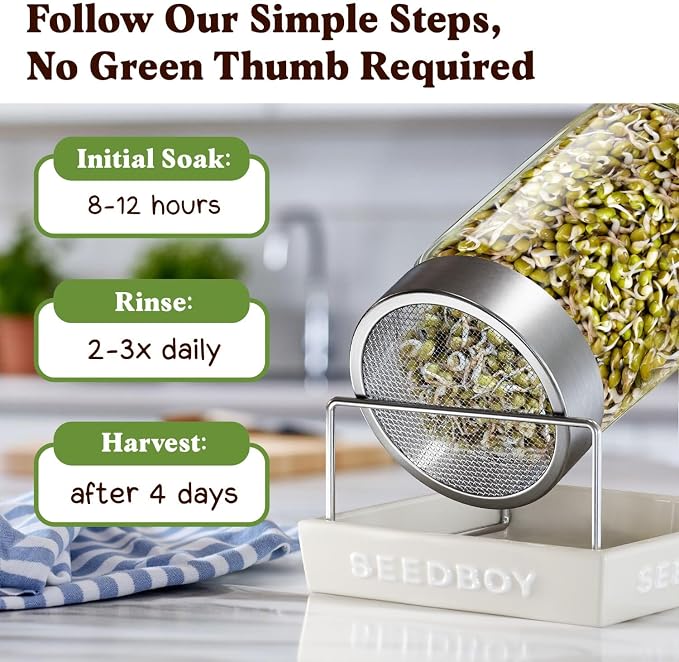 Seedboy Organic Non-GMO Mung Bean Seeds for Sprouting - Microgreens Sprouting Seeds - 8 oz Bag Makes 6 Quarts / 24 Servings (Mung Bean)