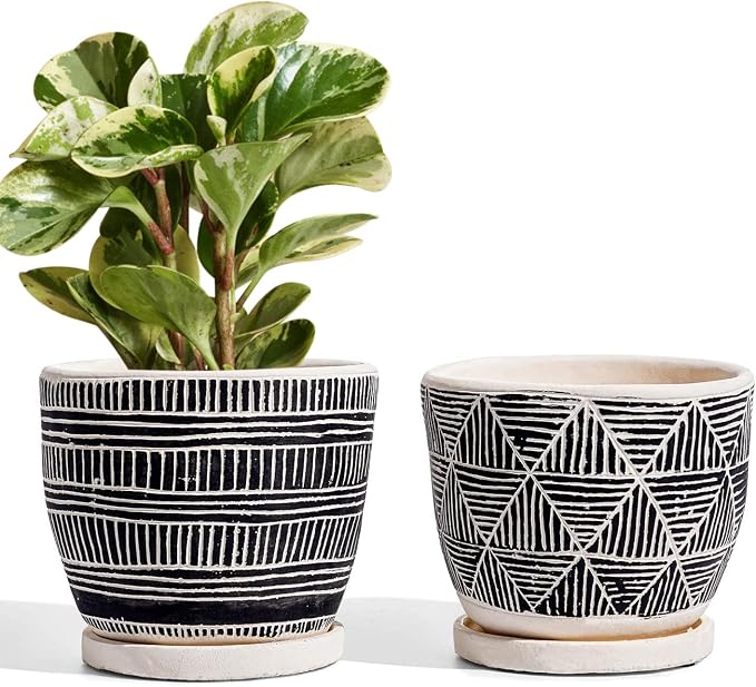LE TAUCI 5.5 Inch Boho Plant Pots Indoor, Artisanal Cement Pots for Plants, Succulent Pots with Drainage Holes and Saucers, Planters for Indoor Plants, Set of 2, Black and Cream White