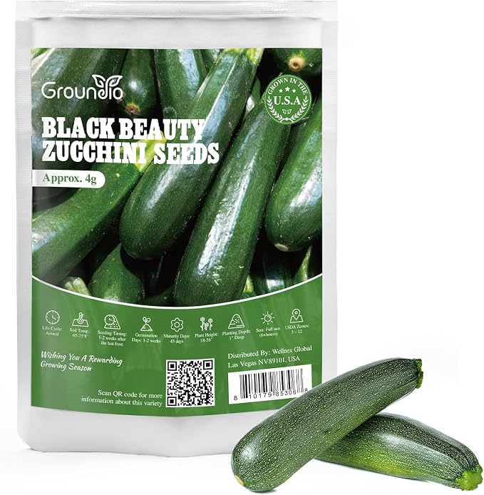 Groundio Black Beauty Zucchini Seeds 50+ Non-GMO Heirloom, High Germination Summer Squash Seeds for Planting, Dark Green Tender Fruits, High Yield Vegetable Garden Crop (Cucurbita Pepo)