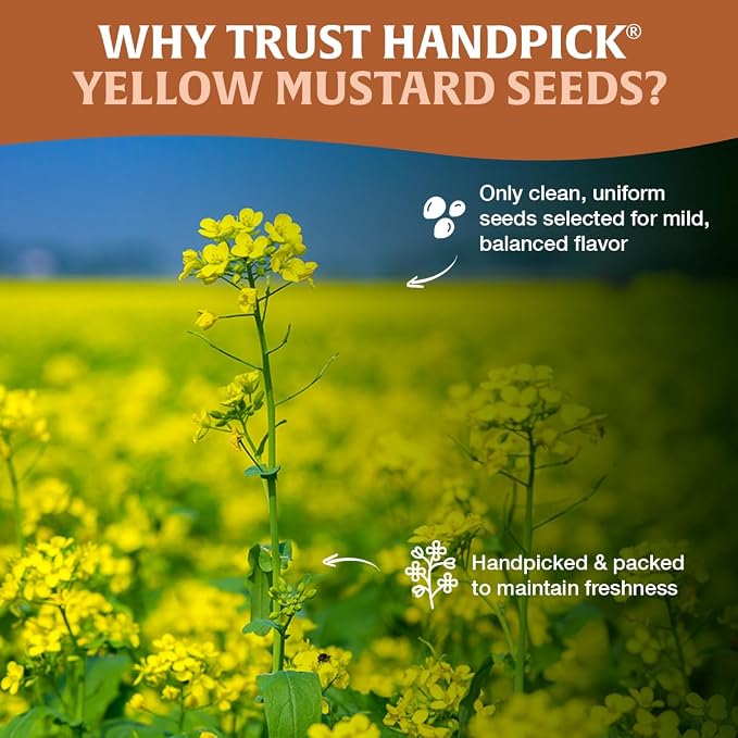 HANDPICK Yellow Mustard Seed (397g/14oz) Non GMO, Gluten Free, 100% Raw, Sourced from India, For Cooking, Pickles, Packed in Resealable Ziplock Pouch
