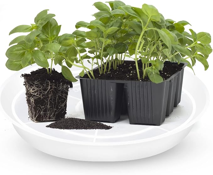 OUPSAUI Plant Saucer Pot Tray, 6 Pack Clear Plant Saucers for Indoors, Large Plastic Dish Suacer Water Drip Tray for Potted Plants Flowers (18 Inches)
