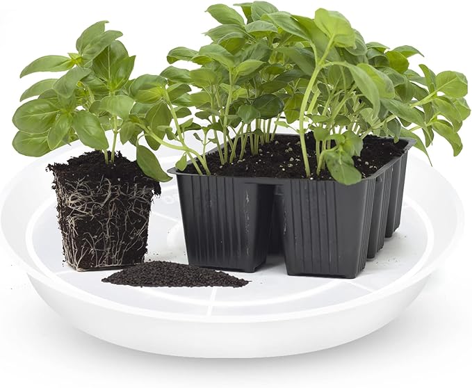 OUPSAUI Plant Saucer Pot Tray, 6 Pack Clear Plant Saucers for Indoors, Large Plastic Dish Suacer Water Drip Tray for Potted Plants Flowers (22 Inches)