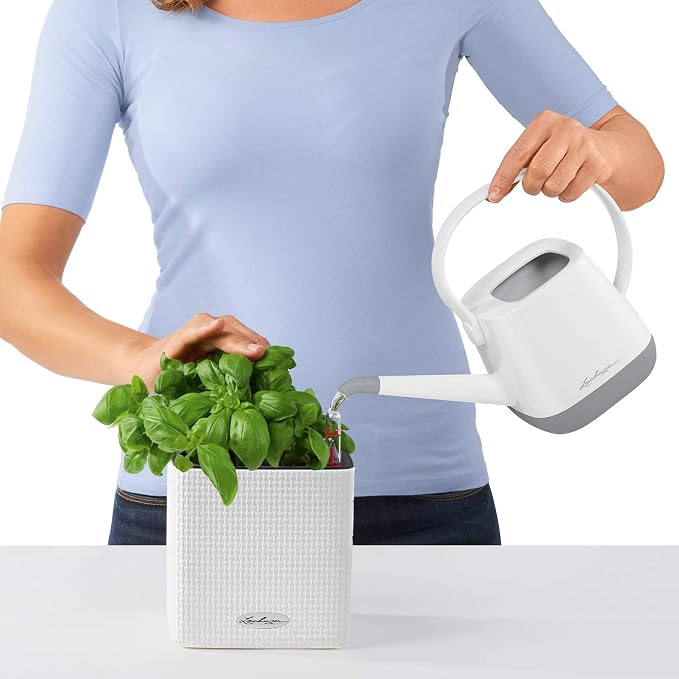 Lechuza 13384 Cube Color 14 Self-Watering Planter for Indoor and Outdoor Use, 6" x 6" x5", Slate