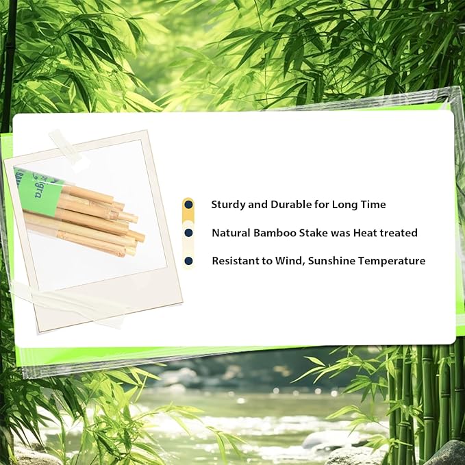 20pcs Bamboo Stakes 6 Feet, 6FT Garden Stakes Multi-Purpose, 5/8" Dia Plant Stakes for Tomatoes, Beans, Cucumbers, Peppers, Potted Trees, Maintain the Plant Posture, Strengthen and Stem