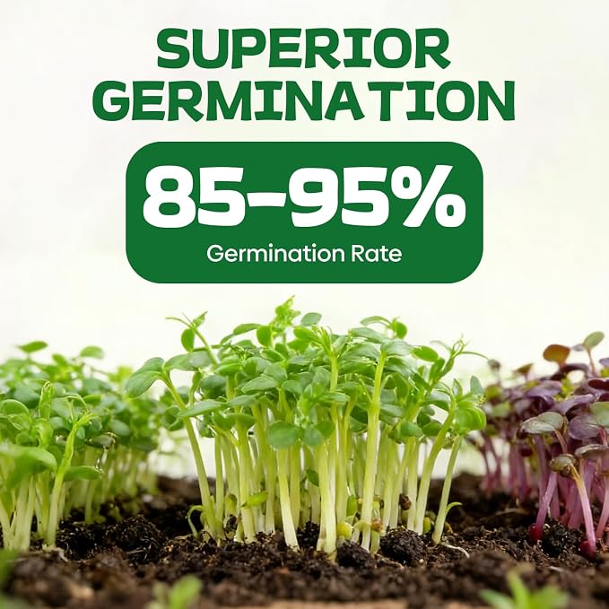 Groundio 40,000+ Heirloom Seeds Kit, 37 Vegetable Seeds Individual Pack - Non GMO for Planting Vegetables, Fruit and Herbs, Outdoor Garden Seeds for Indoor & Outdoor Garden Planting