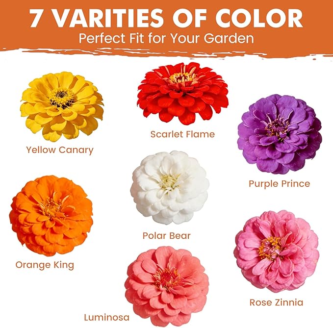 Zinnia Seeds for 2026 Planting, 5000+ Flowers Seeds, 7 Vibrant Colors Mix & Large Bloom, Heirloom Wildflower Seeds for Pollinator Garden Outdoor Borders, Easy to Grow Annual Flowers