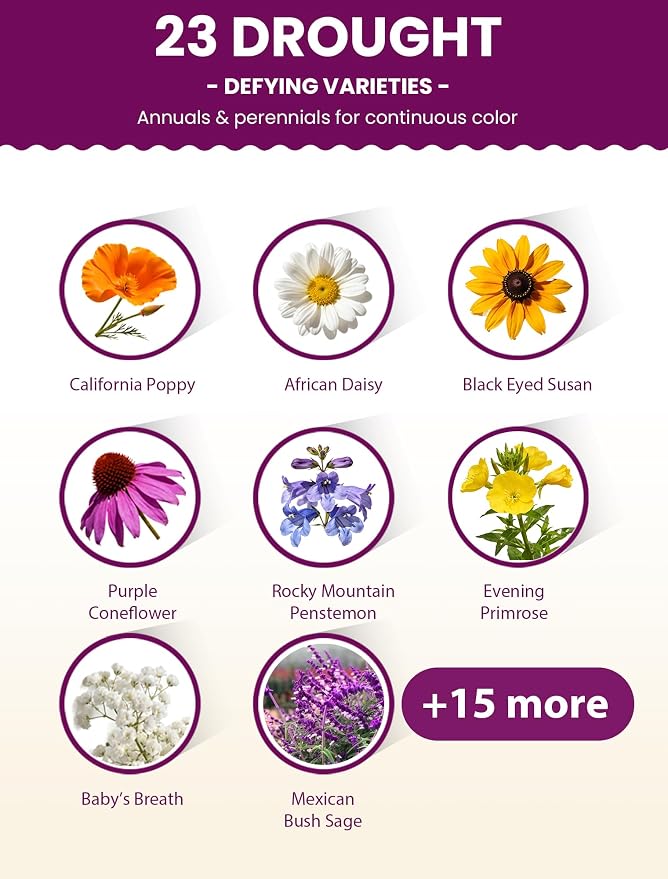 Wildflower Seeds – Desert Bloom Drought-Tolerant Mix, 23 Varieties Annuals & Perennials, 36,000+ Seeds (4oz) Covers 450-600 sq.ft. – High Germination, Thrives on Neglect, Less Water More Flowers