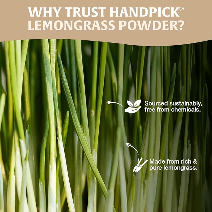 HANDPICK Lemongrass Powder (226g/8oz) Non GMO, Gluten Free, 100% Raw, Sourced from India, For Cooking, Smoothies, Tea, Packed in Resealable Ziplock Pouch (Packaging may vary)