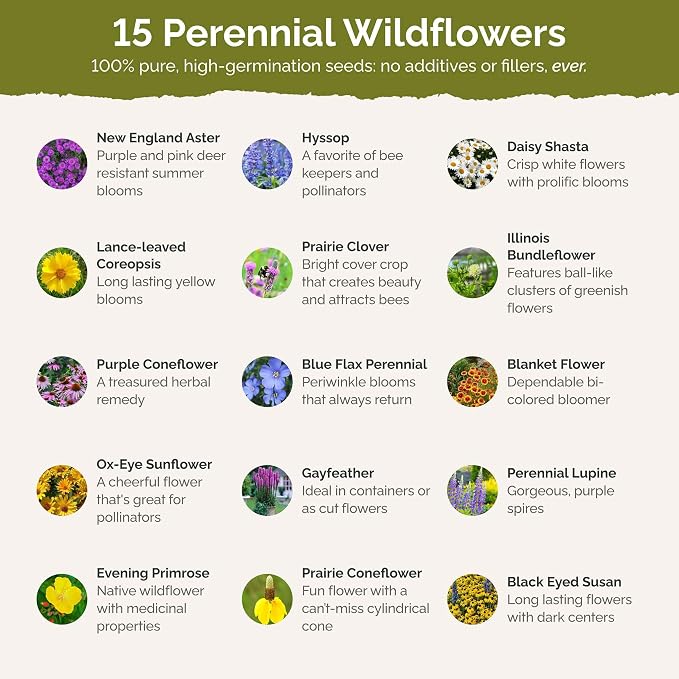 Eden Brothers Midwest All Perennial Wildflower Mixed Seeds for Planting, 5 lb, 2,400,000+ Seeds with Hyssop, Shasta Daisy | Attracts Pollinators, Plant in Spring or Fall, Zones 3, 4, 5, 6, 7, 8, 9, 10