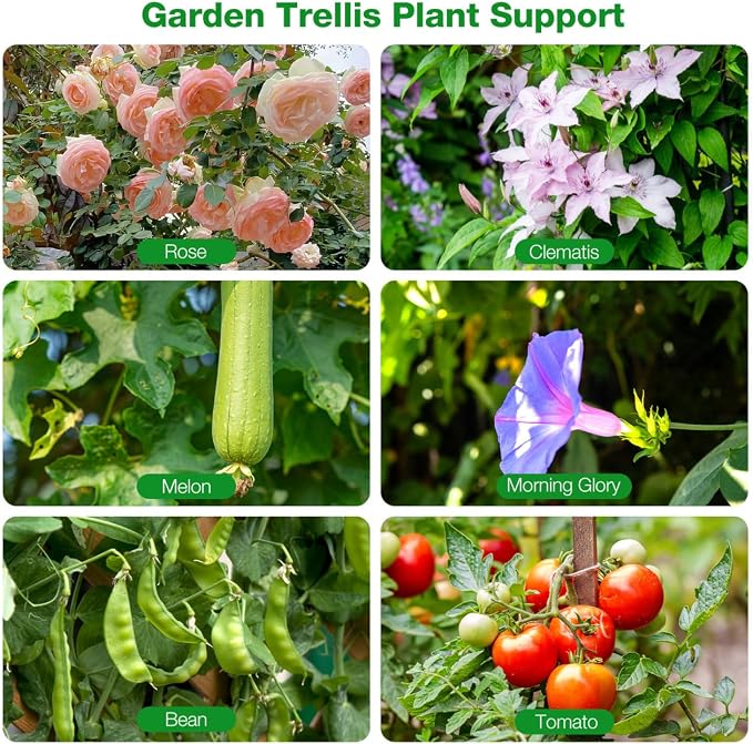 Flexible Folding Pot Trellis, 24'' Indoor Plant Trellis for Potted Climbing Plants, Wrought Iron Lattice Folding Trellis, Coated Flower Garden Trellis Support for Vines Rose Clematis Vegetables