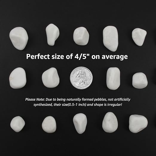 40 lbs White Polished Landscape Stones, 0.5-1 Inch Decorative Rocks for Gardens, Pathways, Pots, Vase Fillers, Aquarium Decoration, Glass Containers, and Yard Borde (Pure White, Weight: 40 LB)