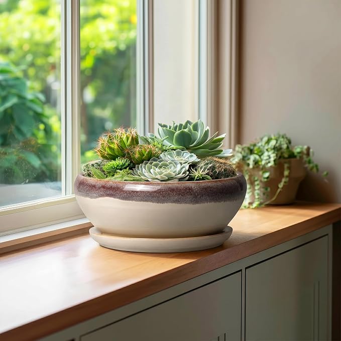 SQOWL Bonsai Tree Pots - 10 Inch Ceramic Succulent Pots, Round Shallow Planter with Drainage Hole and Tray, Bowl Planter for Indoor Outdoor Plants Flowers, Room Decor, Garden Gifts, Beige
