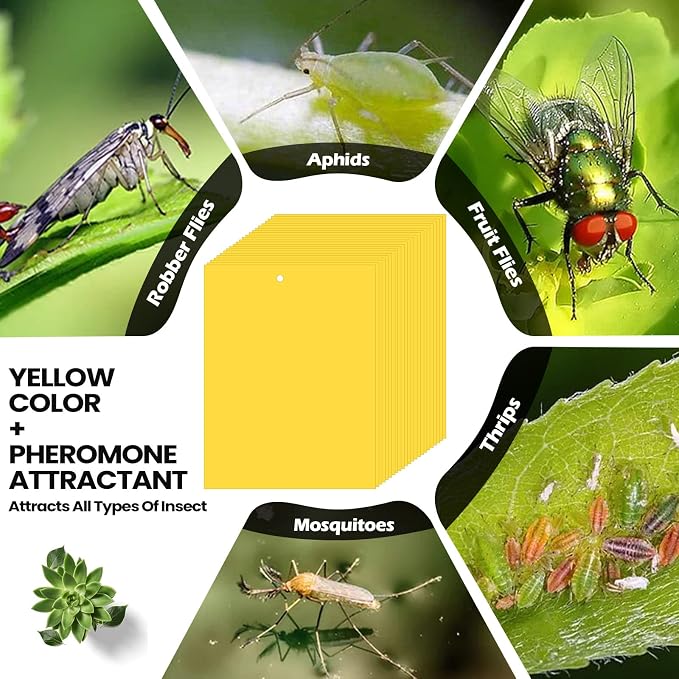 Qualirey 900 Pcs 6x8 Inch Yellow Sticky Traps for Gnats, Dual-Sided Sticky Gnat Traps for Indoor Outdoor, Fly Catcher for Fungus Gnats, Fruit Flies, Whiteflies– Bulk Pack with Twist Ties