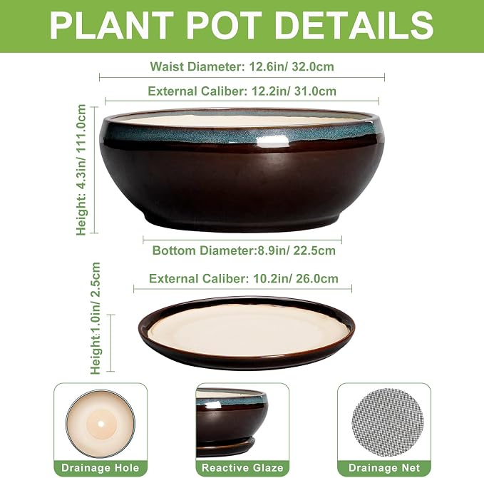 SQOWL Bonsai Planter 12 Inch - Ceramic Succulent Pots Large, Round Shallow Plant Pots Indoor with Drainage Hole and Saucer, Bowl Planter Outdoor for Flower, Room Decor, Housewarming Gifts, Blue-Brown