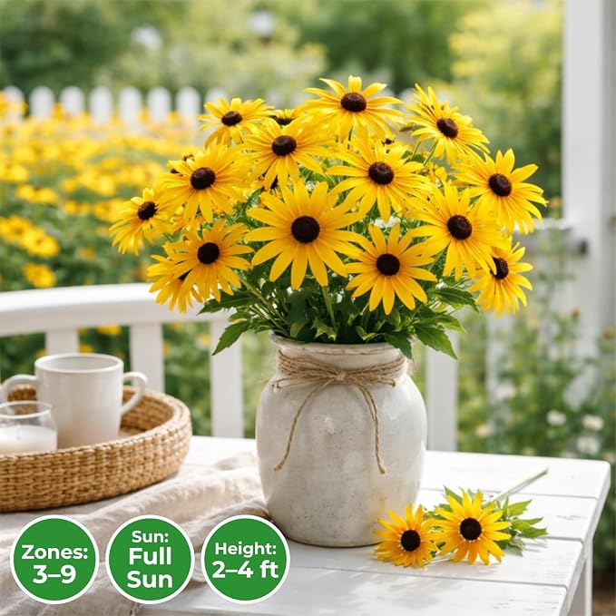 400,000+ Black Eyed Susan Seeds for Planting - 4oz Rudbeckia Hirta Yellow Wildflower, Non-GMO Heirloom Flower Seeds for Outdoor Garden Beds, Borders, Meadow, Indoor Start, Resealable Zipper Bag