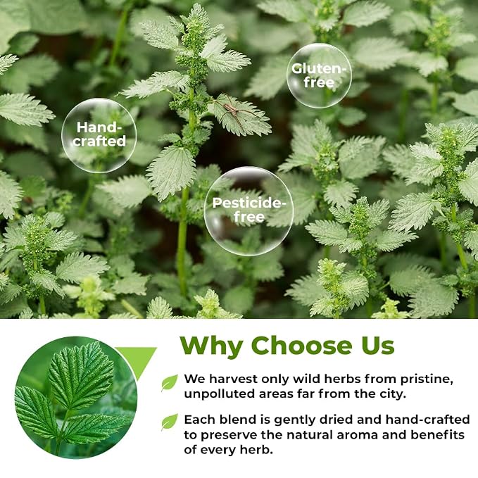 4 oz. Catnip Tea Catnip Herb Tea (Nepeta L.) - 113g Cat Nip Herb Hierba Gatera