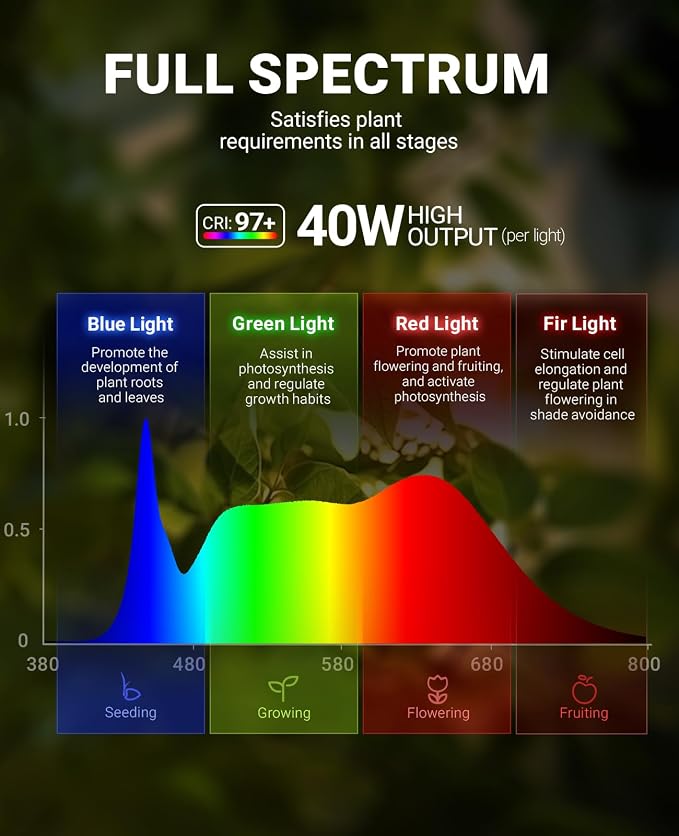 Barrina TR40a Track Grow Lights for Indoor Plants, 15°-60° Adjustable Beam Angle, 40W 4000K Full Spectrum LED Plant Light, High PPFD Spotlight Grow Lamps with Timer for House Plants, 1-Pack, Black