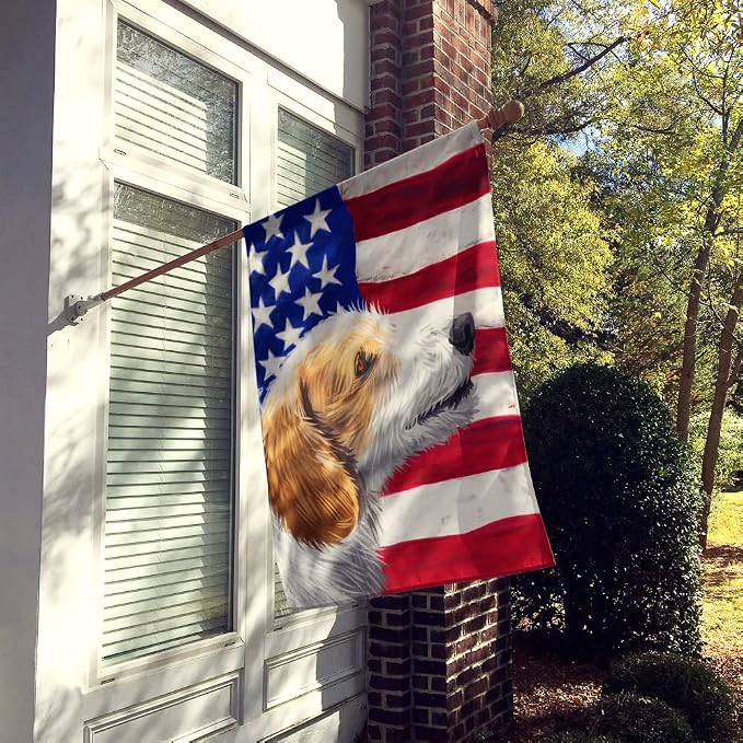 Caroline's Treasures CK6574CHF Istrian Coarse-haired Hound American Flag House Flag Large Porch Sleeve Pole Decorative Outside Yard Banner Artwork Wall Hanging, Polyester, House Size, Multicolor