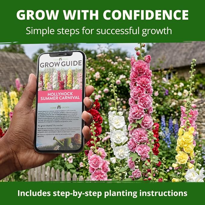 HOME GROWN Hollyhock Summer Carnival Mix Flower Seeds – Alcea Rosea, Premium Annual Flower Seeds, 3000 Seeds for Planting Flowers, High-Germination Flower Seed Bulk Pack