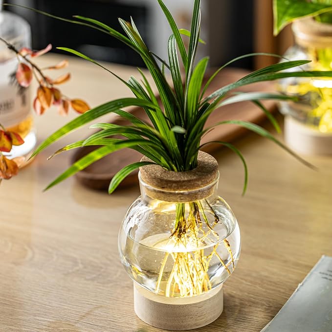 Propagation Stations, Plant Propagation Station with Light Base, Glass Propagation Vases, Hydroponic Vase for Plants, Glass Terrarium for Home Office Windowsill Tabletop Decoration (5)