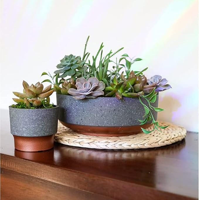The HC Companies 3 Inch Sprite Mini Succulent Pot- Smal Plastic Planter with Drainage for Indoor Plants, Faux Concrete Copper