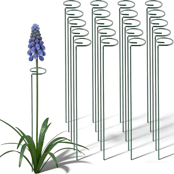 20 Pieces 16 inch Green Single Stem Plant Stakes Garden Plant Support Rings Flower Support Hoops Prop for Amaryllis Orchid Lily Rose Peony Gladiolus