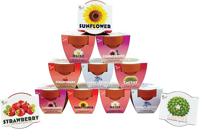 BUZZY Seeds Mini Terracotta Grow Kit, Assorted 12-Pack - Mini Terracotta Pot Grow Set - 100% Grow Guarantee