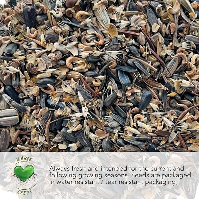 Seed Needs Partial Shade Wildflower Seeds Heirloom 2 Ounce Bulk Pack