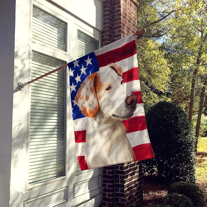 Caroline's Treasures CK6575CHF Istrian Shorthaired Hound American Flag House Flag Large Porch Sleeve Pole Decorative Outside Yard Banner Artwork Wall Hanging, Polyester, House Size, Multicolor