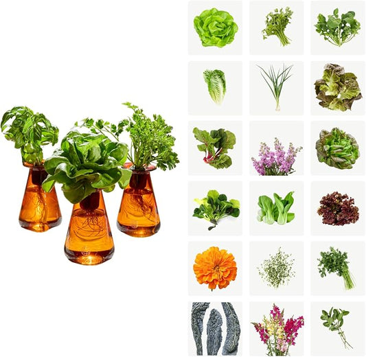 Lettuce Grow Counterstand Hydroponic Garden, Indoor Gardening System Hydroponics Growing System Kit, Herb Garden Planter Indoor Kit Countertop Vase Style No Grow Light | Indoor Herb & Lettuce Growing System, 3 Seedlings Included, Countertop Planter, De...
