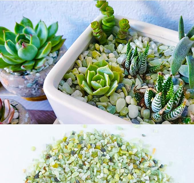 7lb Jade Bean Pebbles,1/4 Inch Cactus Bonsai DIY Rocks, Natural Succulent Rock and River Rocks Decorative for Aquariums, Vases, Terrarium, Outdoor Gardening, Top Dressing for Potted Plants