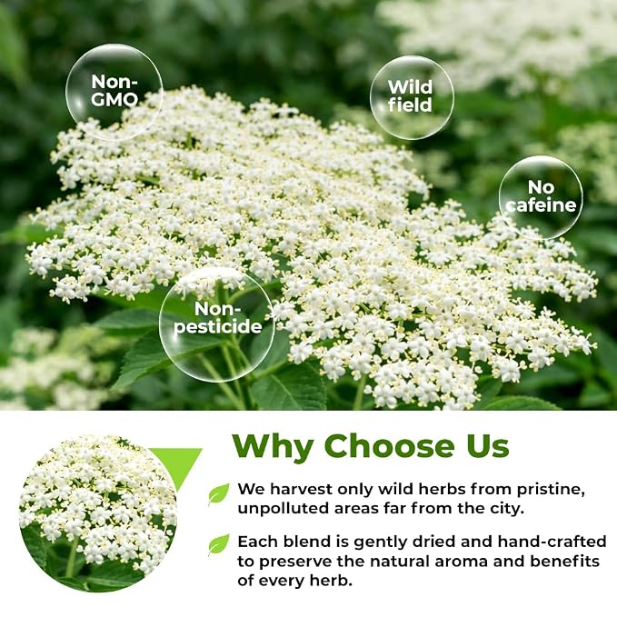 4 oz. Dried Elderflower Tea Herbal Tea (Flores Sambuci Nigrae) - 113g Elder Flower Herb Espino Blanco