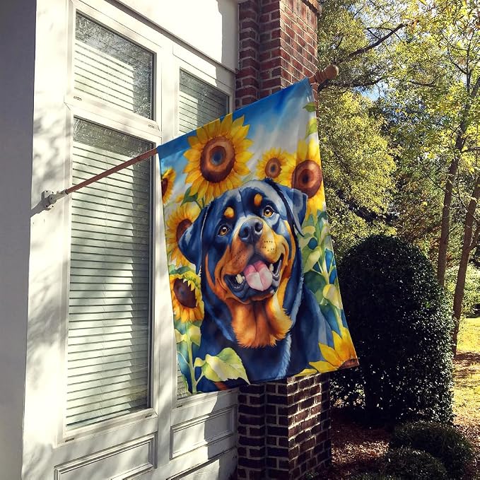 Caroline's Treasures DAC6150CHF Rottweiler in Sunflowers House Flag Large Porch Sleeve Pole Decorative Outside Yard Banner Artwork Wall Hanging, Polyester, House Size, Multicolor