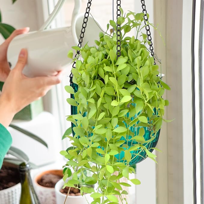 Maxcheck 4 Pcs Self Watering Hanging Planters Indoor Gift 6.5'' 4.5'' Hanging Flower Pots Baskets Outdoor Self Watering Plant with 3hooks Drainage Holes for Home