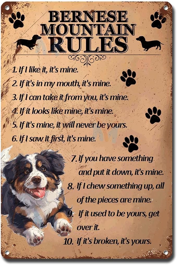 Metal Sign Tin Sign Vintage Wall Art Bernese Mountain Rules Home Deccor Store Home Decor for Home Decor 6×8 Inches