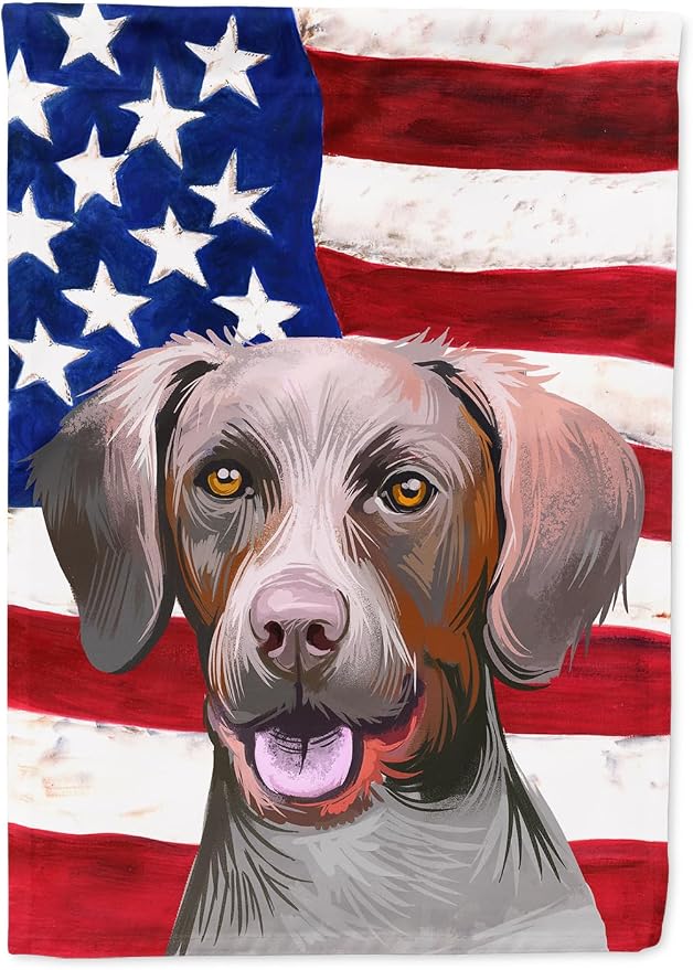 Caroline's Treasures CK6649CHF Pointer Dog American Flag House Flag Large Porch Sleeve Pole Decorative Outside Yard Banner Artwork Wall Hanging, Polyester, House Size, Multicolor