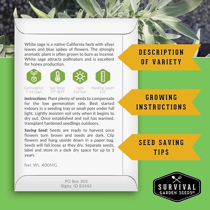 Survival Garden Seeds White Sage Seeds for Planting, 2 Packs | Salvia Apiana Seed, Native California Plant for Warm Dry Gardens & Smudging Herbs - Open-Pollinated Variety