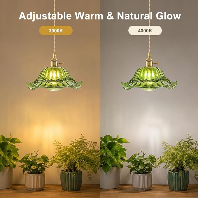 Hanging Grow Lights for Indoor Plants, 12W Full Spectrum 98+ CRI Grow Lamp, Dual CCT 3000K/4000K, Dual Switches, Pulley Height Adjustable, 14.76FT Cord, Petal Glass Plant Light for Indoor Flowers