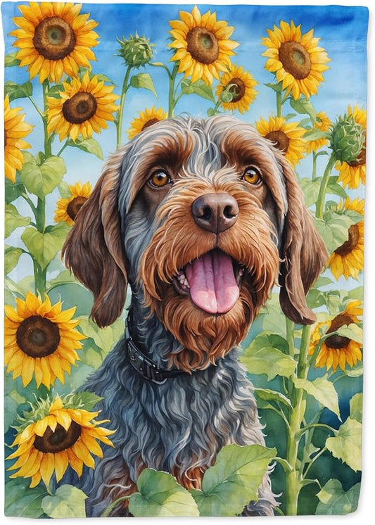 Caroline's Treasures DAC6177CHF Wirehaired Pointing Griffon in Sunflowers House Flag Large Porch Sleeve Pole Decorative Outside Yard Banner Artwork Wall Hanging, Polyester, House Size, Multicolor