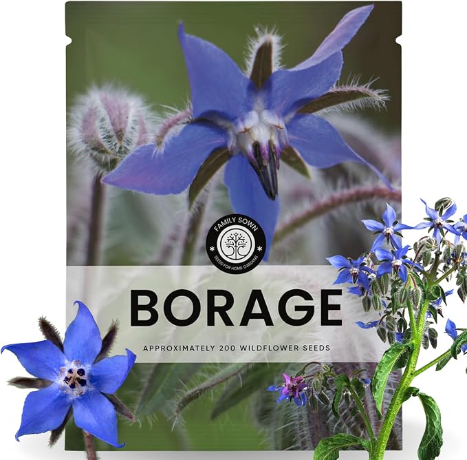 Borage – 200 Seeds for Planting – 2026 Season – 5 Gram Pouch