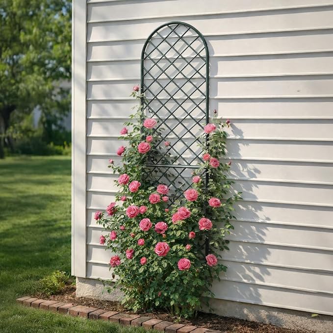 Vego garden Metal 23" x 78" Garden Mounted Wall Trellis 2 Pack for Climbing Plants Flowers Vegetables Planting Arched Outdoor Decoration for Courtyards Lawns Gardens