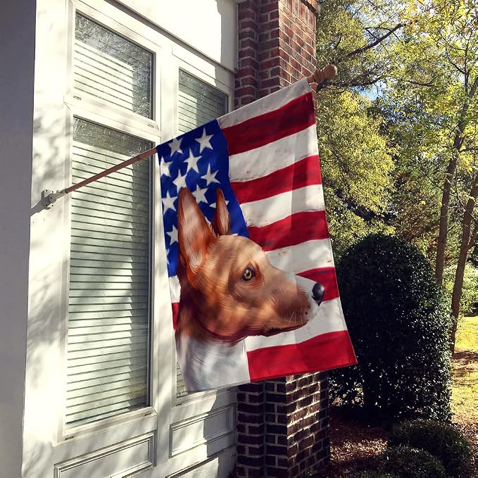 Caroline's Treasures CK6417CHF Basenji American Flag House Flag Large Porch Sleeve Pole Decorative Outside Yard Banner Artwork Wall Hanging, Polyester, House Size, Multicolor