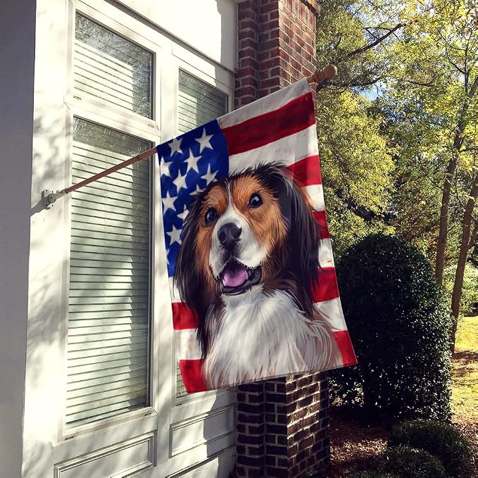 Caroline's Treasures CK6595CHF Kooikerhondje American Flag House Flag Large Porch Sleeve Pole Decorative Outside Yard Banner Artwork Wall Hanging, Polyester, House Size, Multicolor