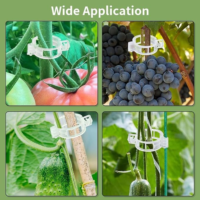 50Pcs Secured Plastic Plant Clip, 2026 Upgrade Plant Support Clips Reusable Garden Clips, Garden Clips for Climbing Plants Tomato Grape Vine Vegetables Plant Fixing Clips (100, White)