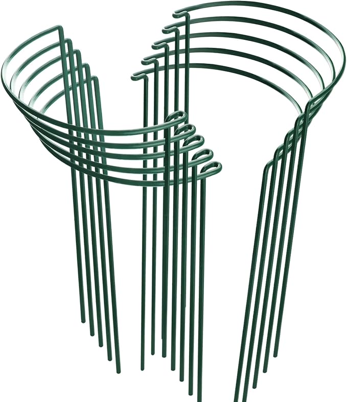 HiGift 10 Pack Peony Cages and Supports, 10" (W) x 16"(H) Plant Support, Heavy Duty Metal Plant Support Stake for Indoor Plants Half Round Garden Stakes Plant Support Ring for Hydrangea,Flower Outdoor