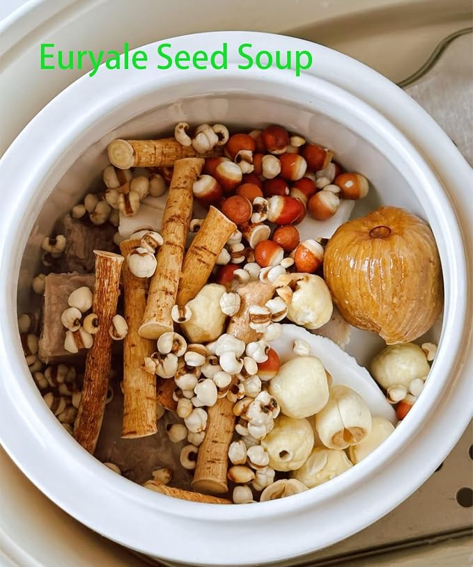 Euryale Seed（Qianshi）- Pure Natural Chinese Herbal Medicine-Dried Fox Nut-Gorgon Fruit-1lb/454g Used for making soup-芡实 (Euryale Seed)